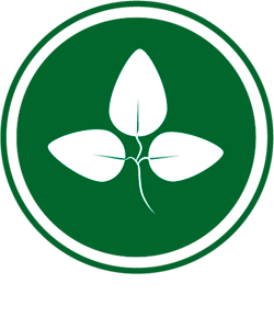 Allergen Soy