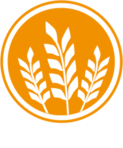 Alergeno Gluten